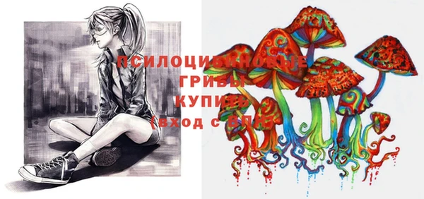 ешки Алексин